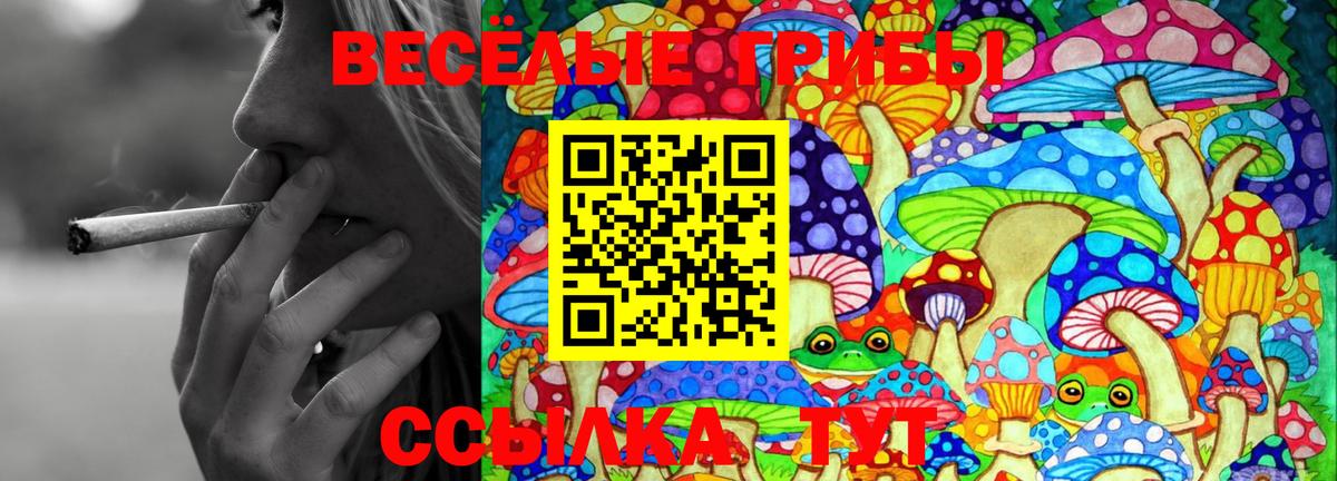 Псилоцибиновые грибы GOLDEN TEACHER  Вход с VPN  Галлюциногенные грибы мухоморы  Избербаш 
